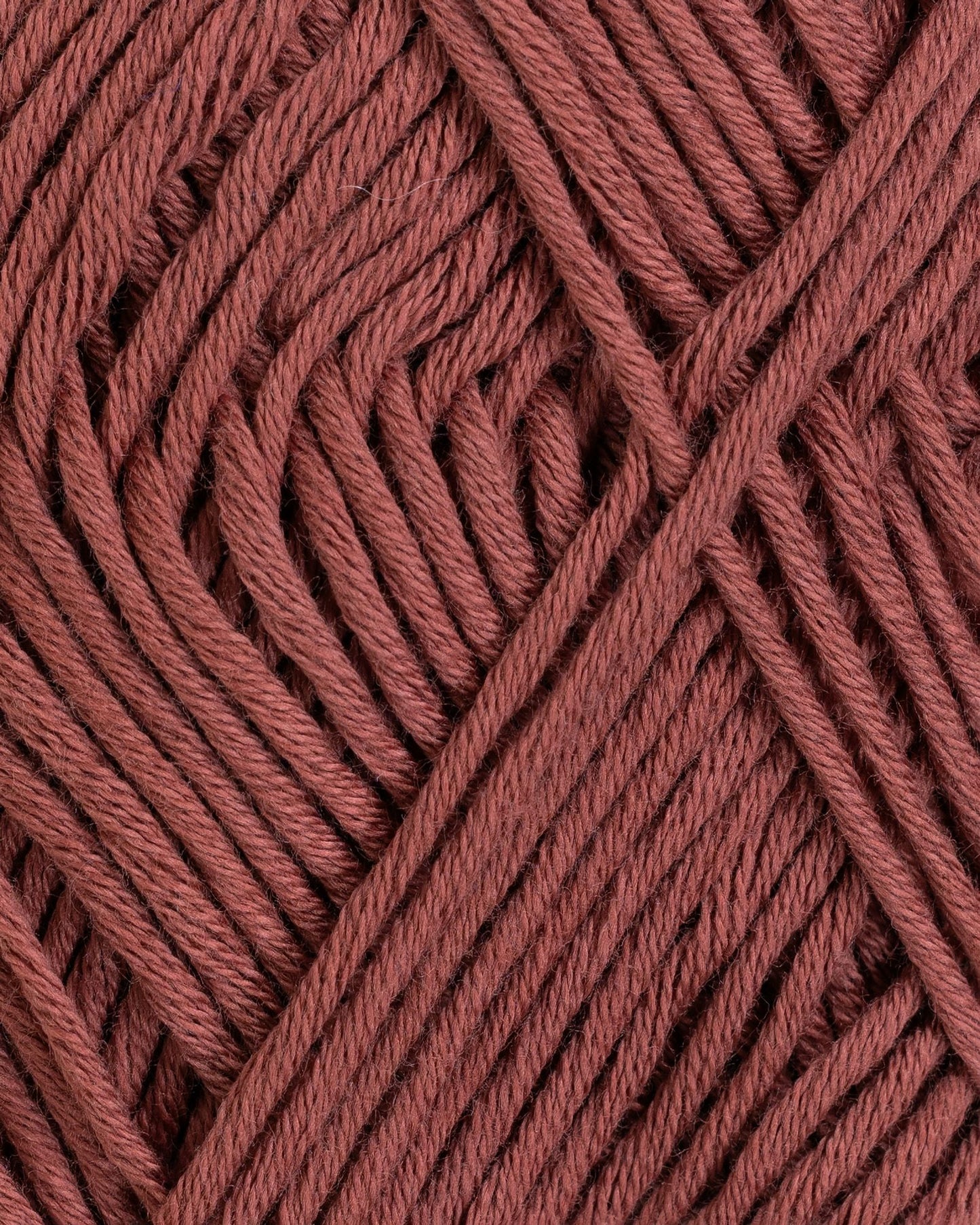 Petunia