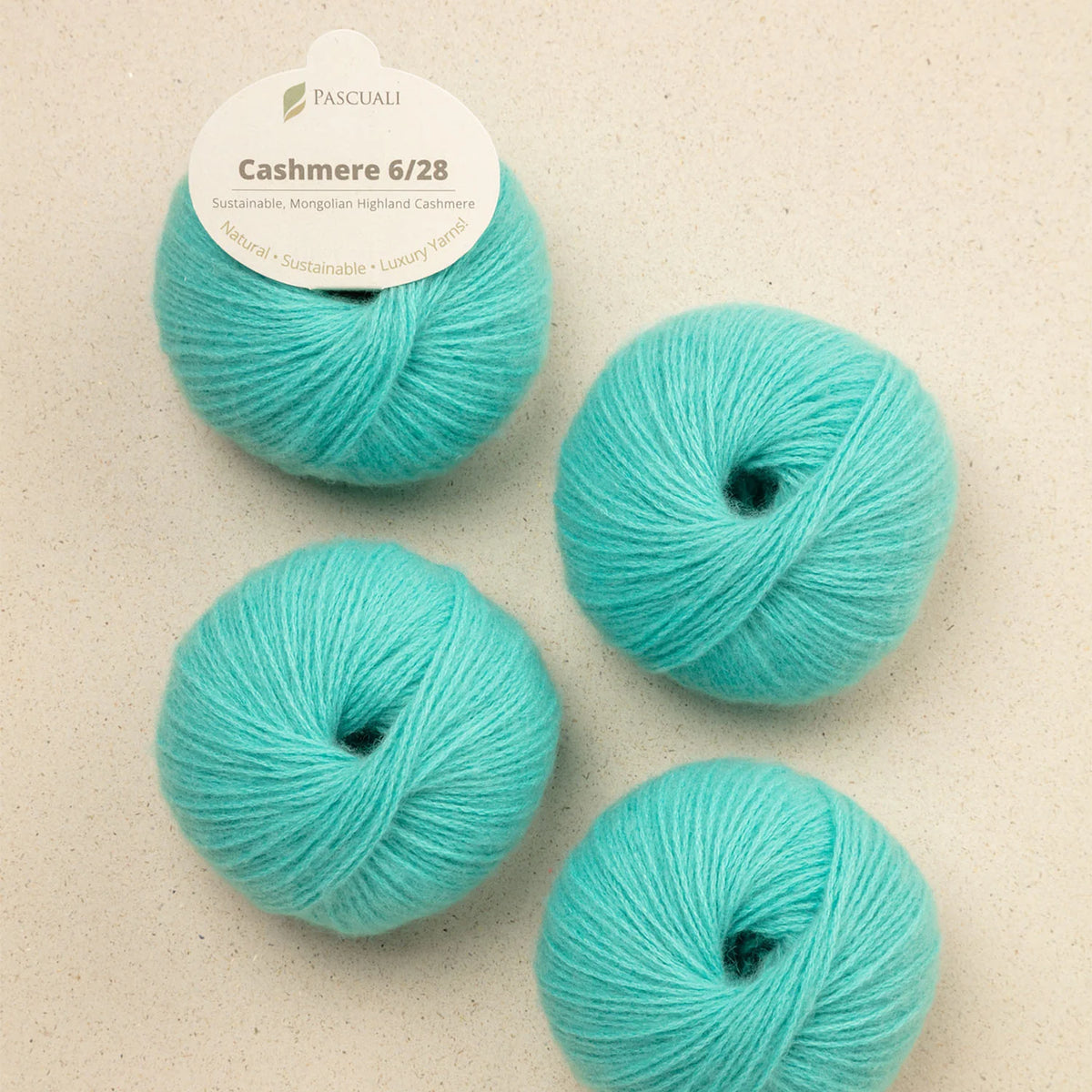 CASHMERE 6/28
